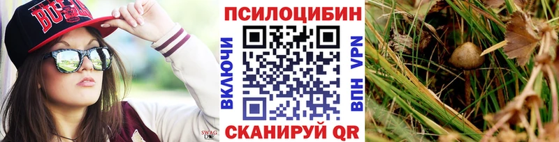 блэк спрут маркетплейс  Южно-Сухокумск  Галлюциногенные грибы Magic Shrooms 